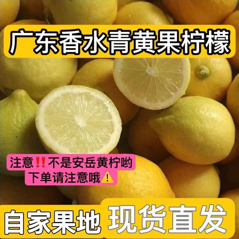 广东香水黄柠檬新鲜无籽皮薄多汁果香适合泡水榨汁