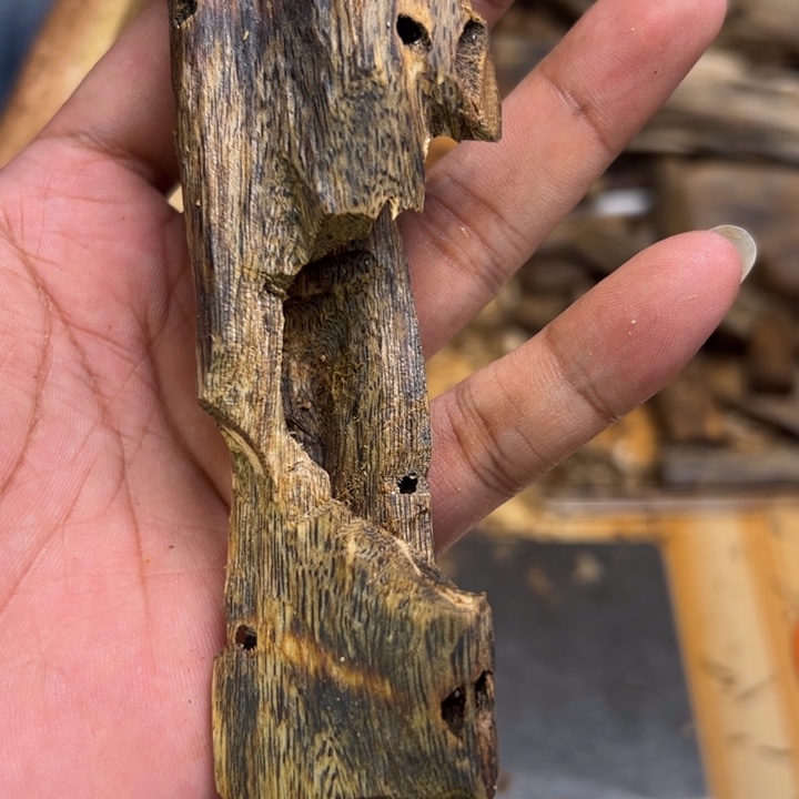 沉香碎屑沉香34克