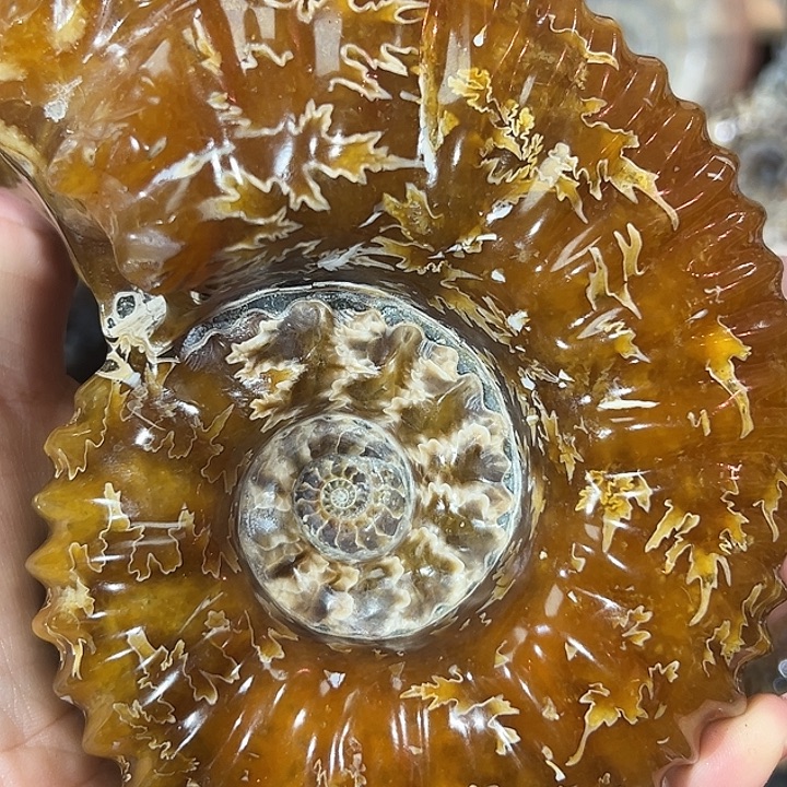 闲***鹤石材家居装饰摆件羊角螺