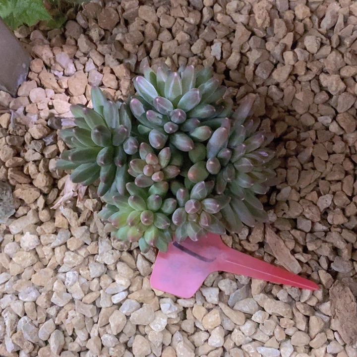 是不是很喜欢这个剧