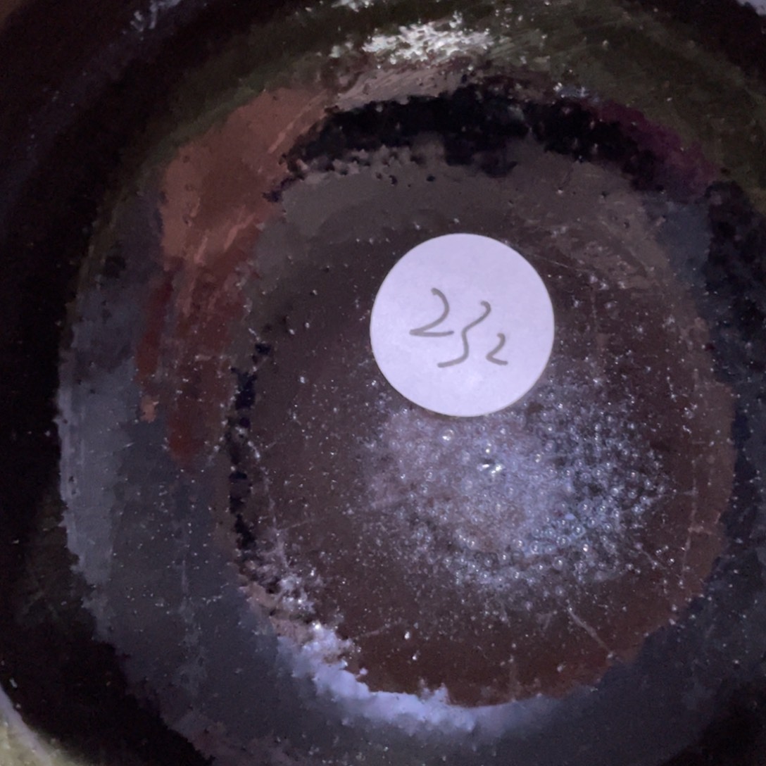 茶盏666666666666666666