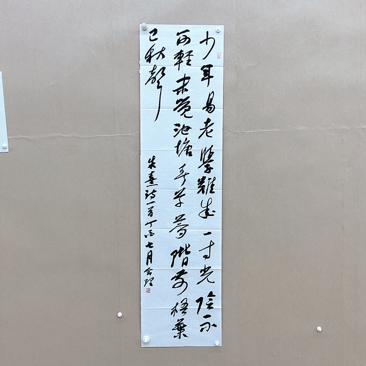 书法孙合理138*34㎝ 河南    兰亭