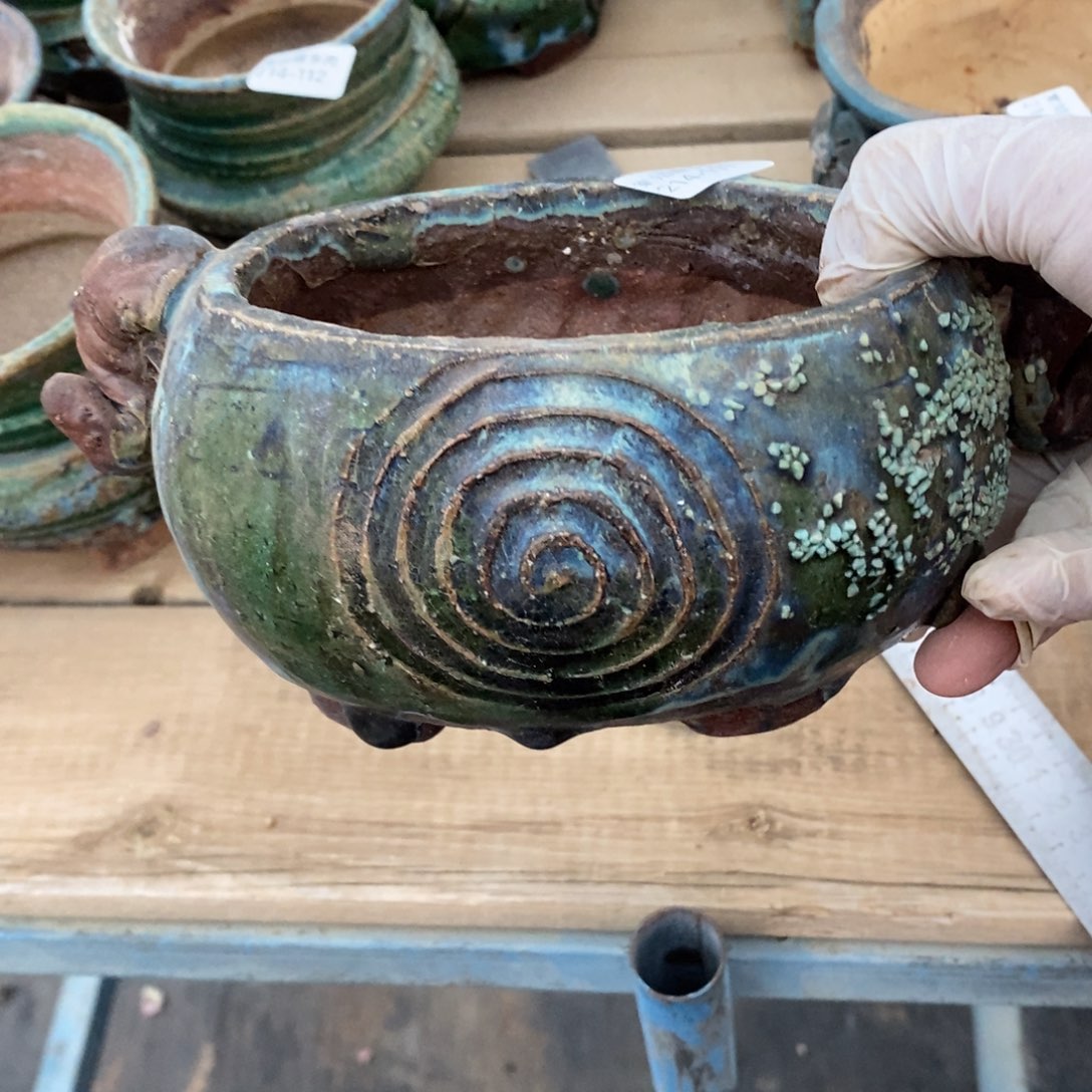 红陶久****?111号多肉盆一个呀