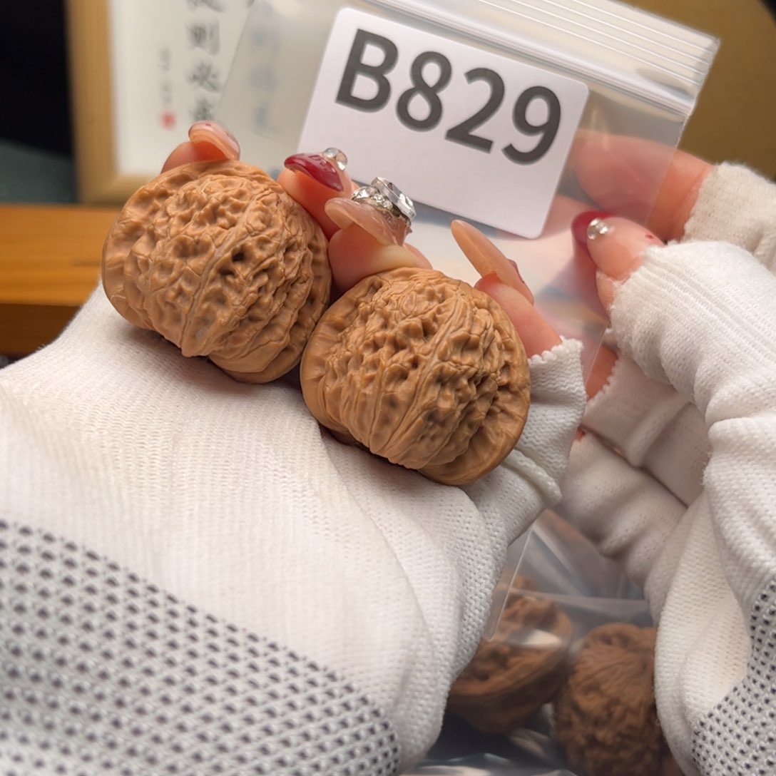 文玩核桃把件36白狮子b 829