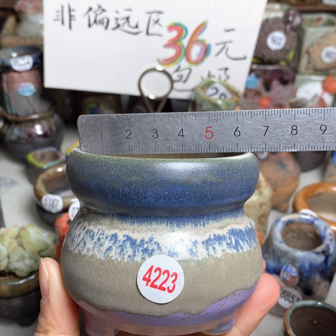 花盆拍5送一个小礼物