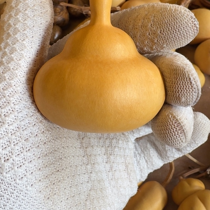 海***天葫芦88888888888888