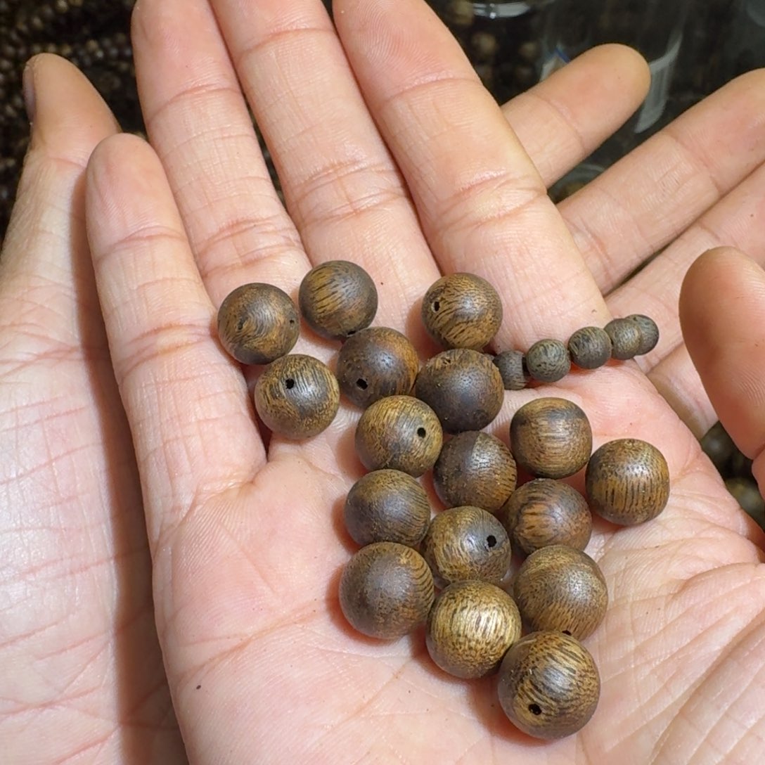 沉香沉香碎屑X*海南乌身老料1.07.6克精选定制虫漏