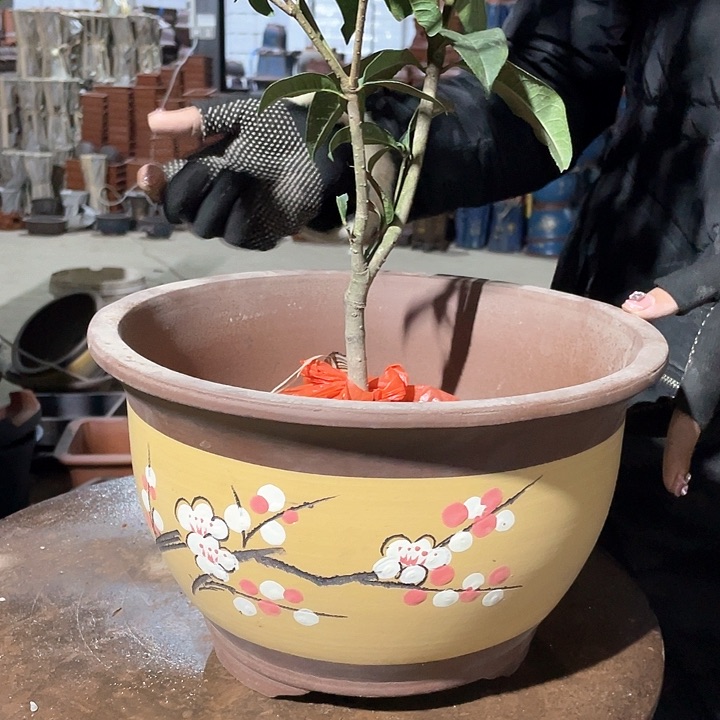紫砂005中号一对花盆