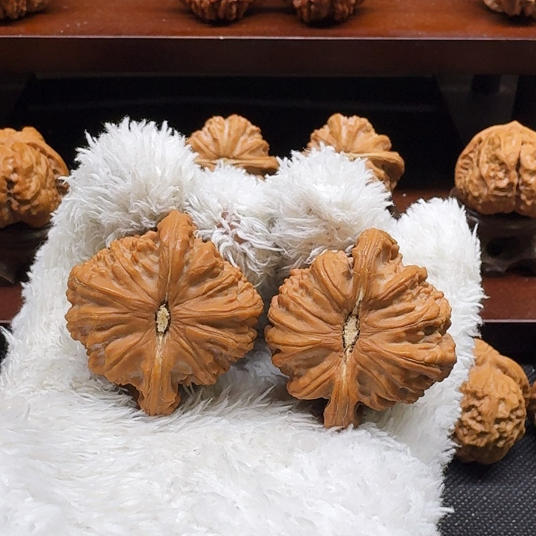 7***1核桃手串/手链全品白狮子40