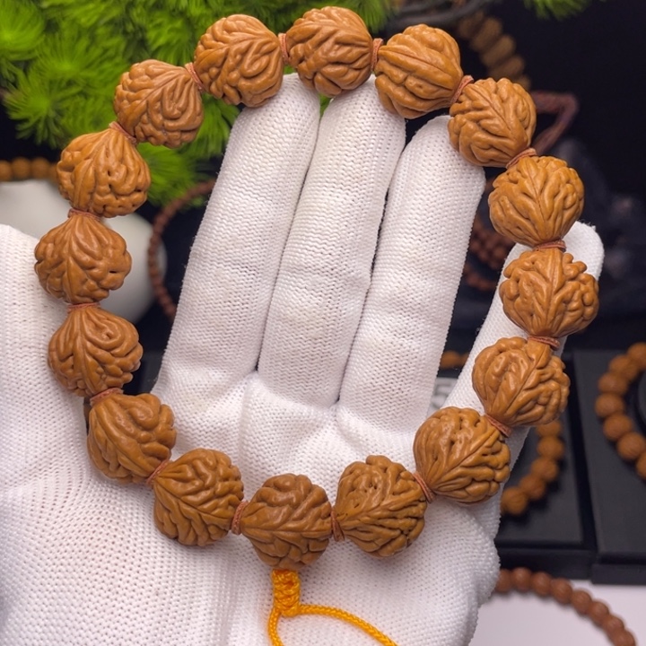 吊坠桃核野生大肥龙18尺寸