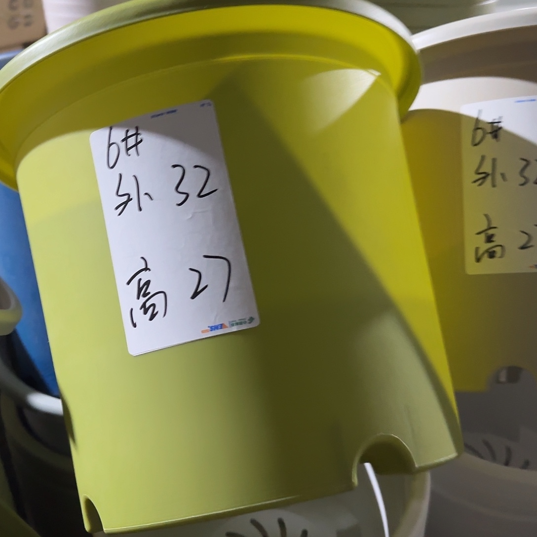 树脂四季6号无托7个果绿微瑕