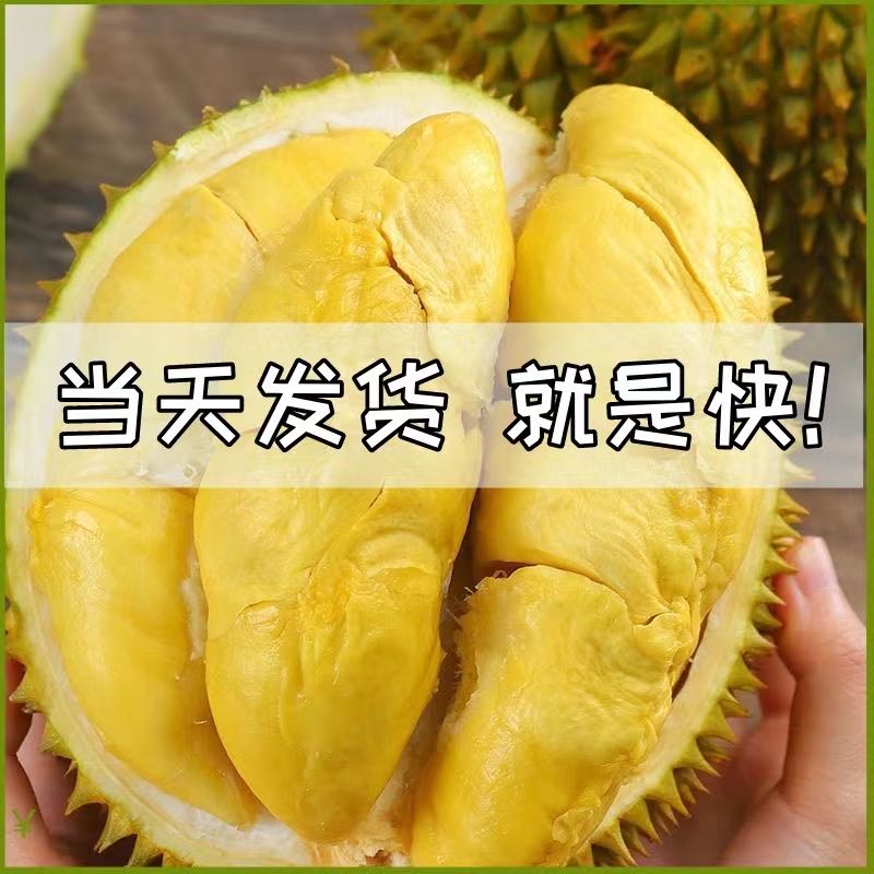 xL【2号称一物一拍】泰国金枕榴莲现场称重（生切不售后）