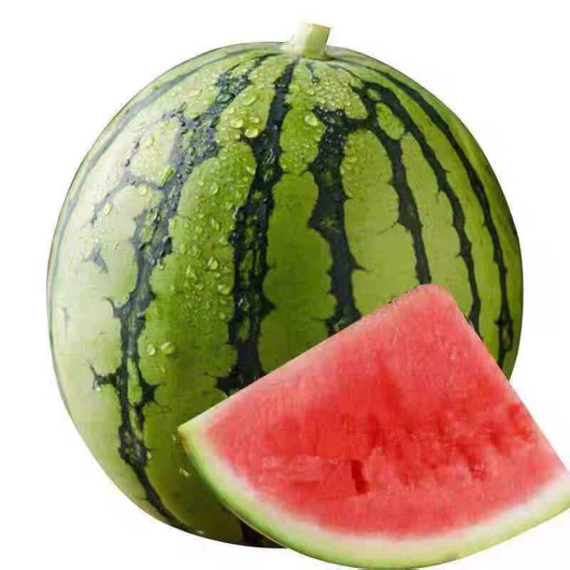 李明兴西瓜内蒙古自治区