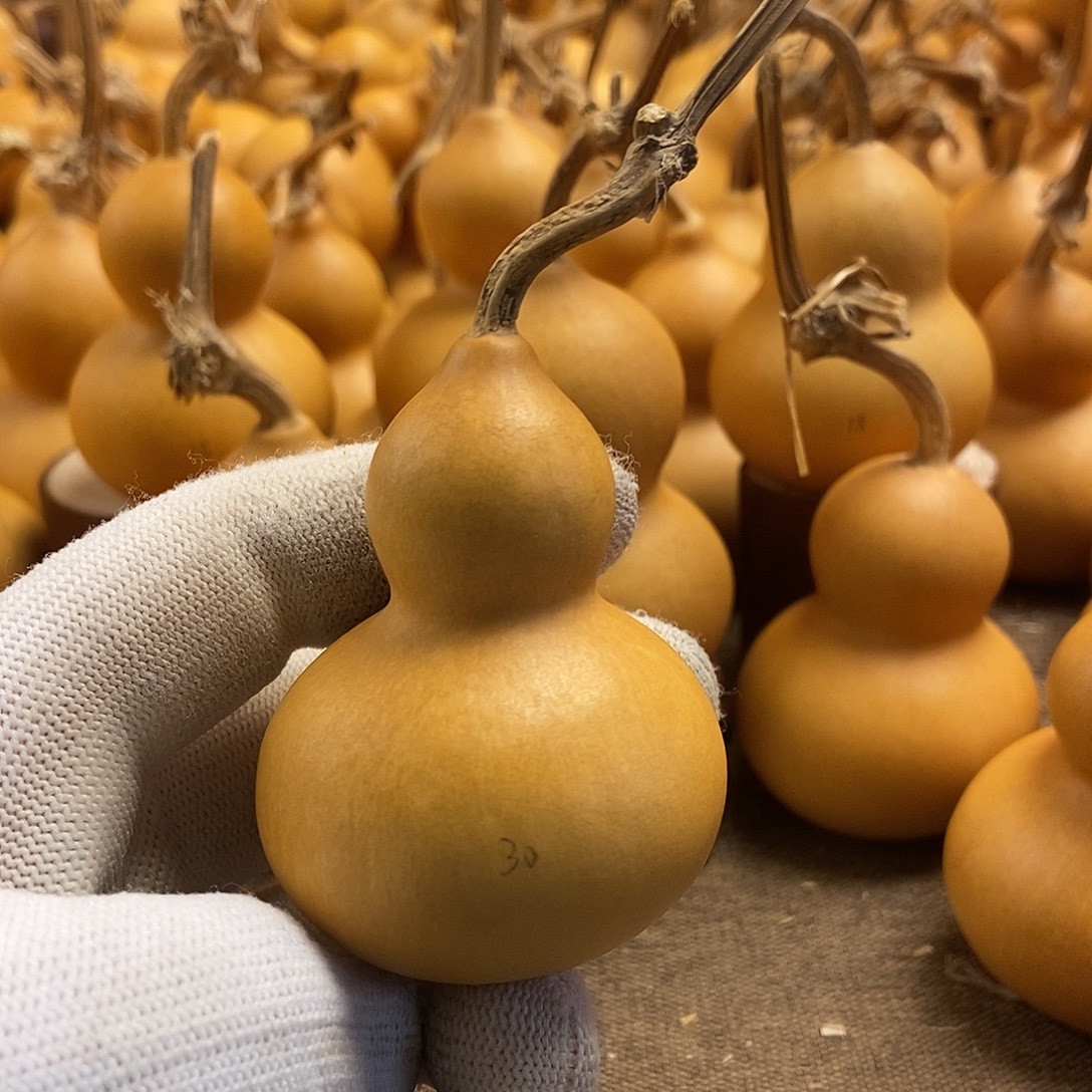 文玩葫芦 完美主义者 慎拍30