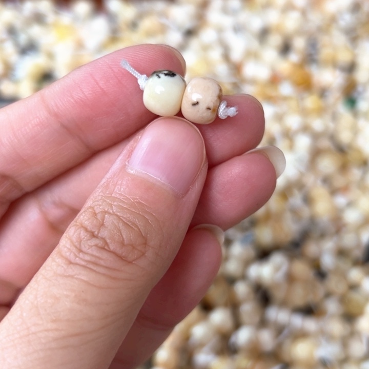 裸石蜜蜡未镶嵌8mm一对