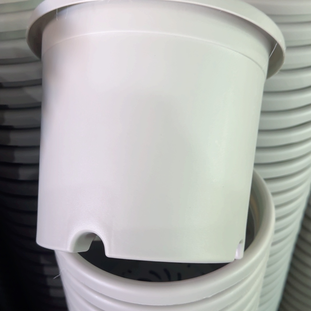 树脂特价3#无拖灰白10个