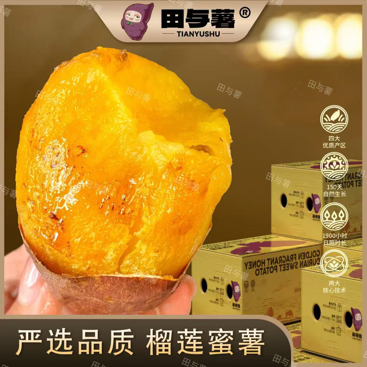 田与薯榴莲蜜薯·云南高原蜜薯希露库丝滑黄心番薯软糯香甜新鲜