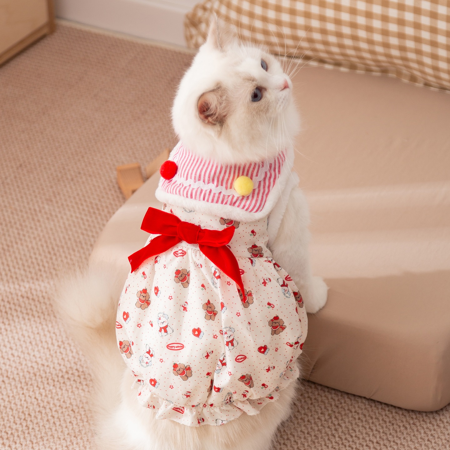 秋冬季猫咪衣服加绒保暖公主风蝴蝶结连衣裙成猫幼猫宠物衣服0576