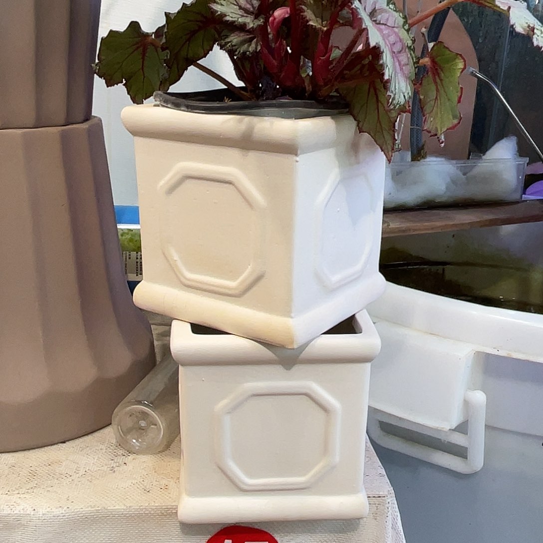 红陶11×11花盆两个