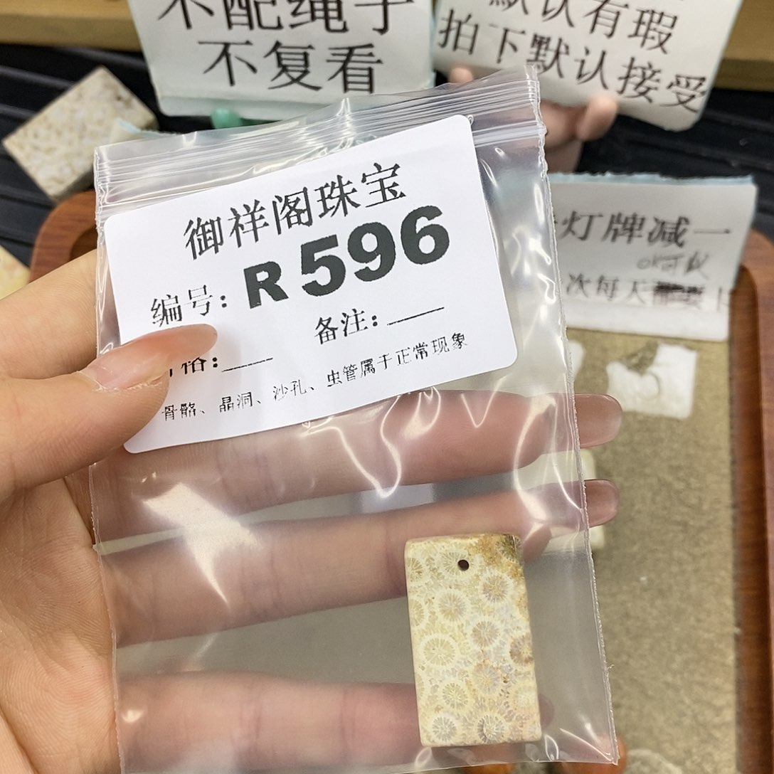 硅化珊瑚（珊瑚玉）未镶嵌颈饰腿***九