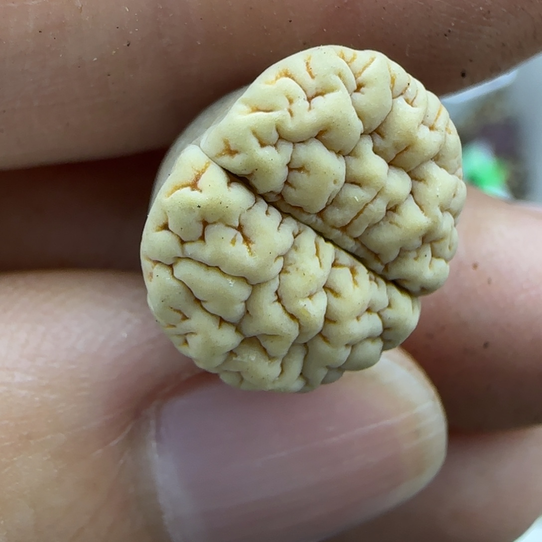 240脑纹189 清框福利30包邮