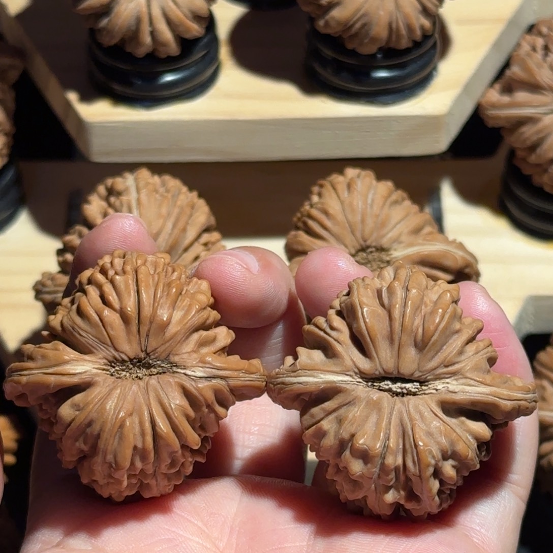 钢***_核桃41.5全品拱桥楼高桩