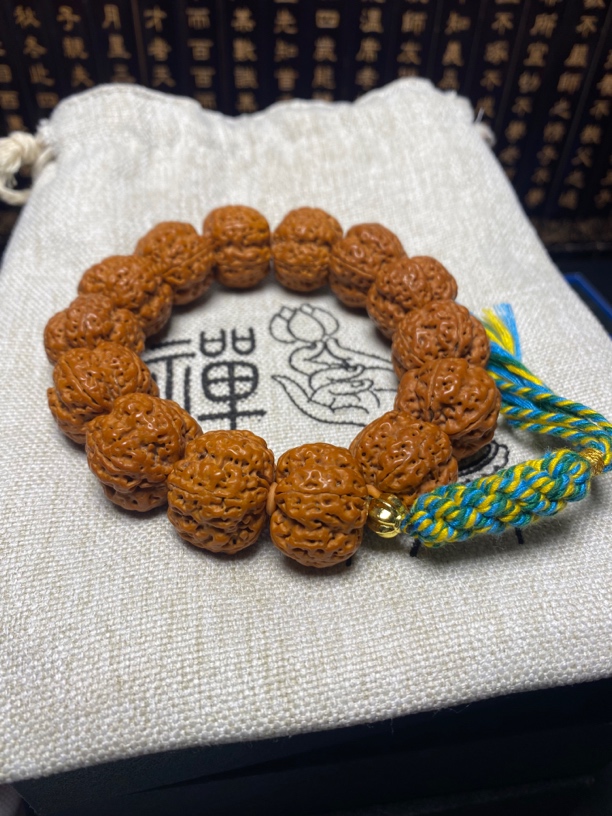 新籽超头吊炸天金刚菩提（10号）