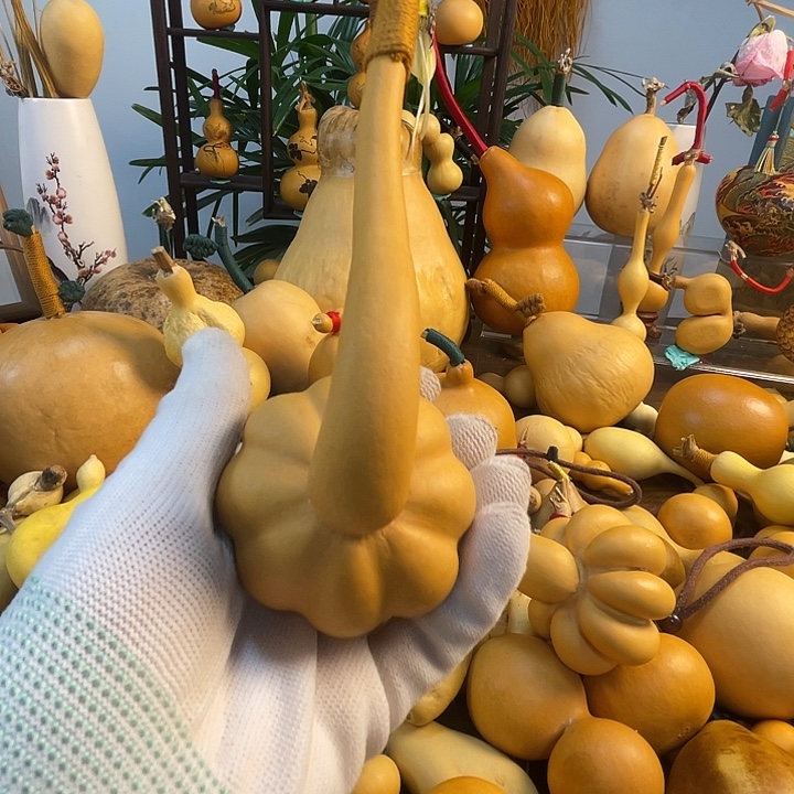 会***泡藤手把葫芦精品系列26