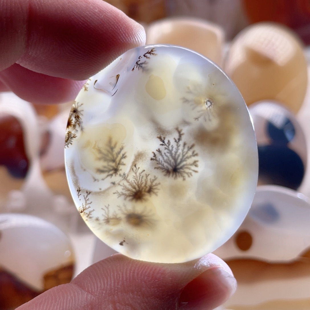 【闪购商品】玛瑙/玉髓颈饰合金