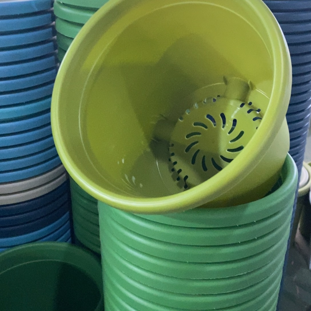 树脂特价4#无拖果绿8