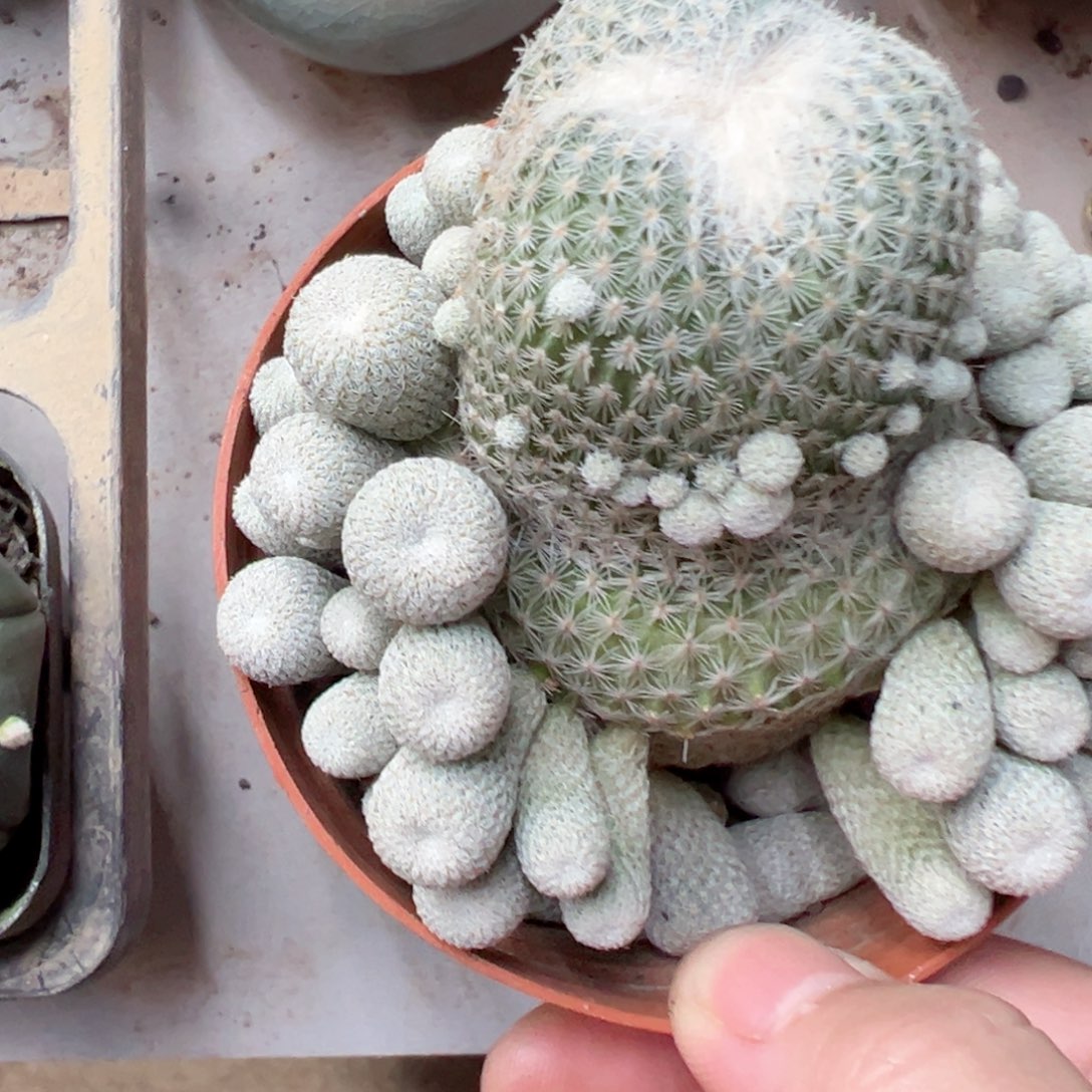 l***1哈哈哈哈哈哈哈哈哈哈哈哈哈哈