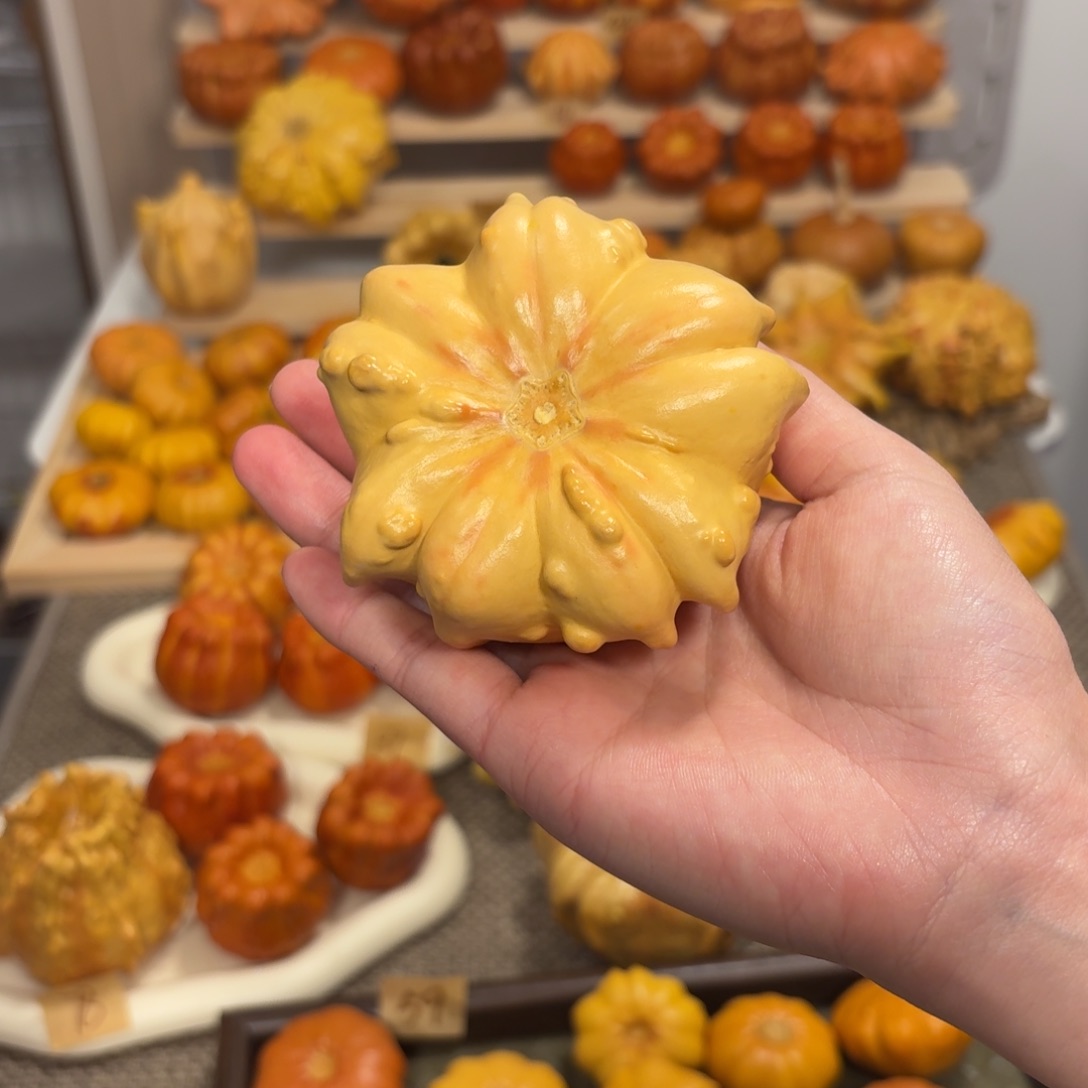 花墨西哥葫芦干货