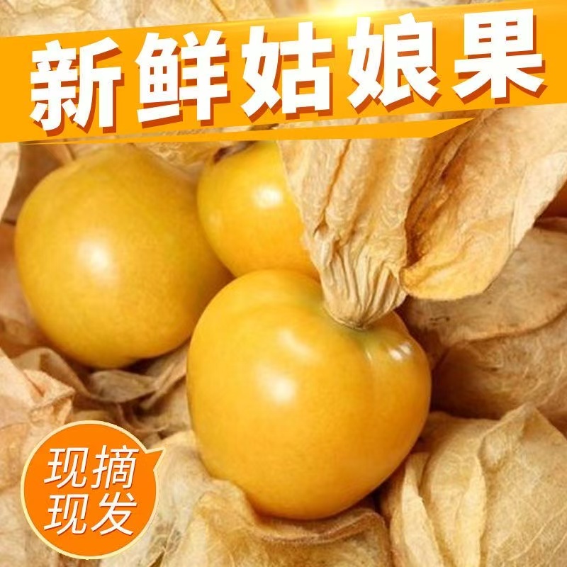 【原产地直发】头茬东北姑娘果灯笼果新鲜香甜多汁水果产地直发