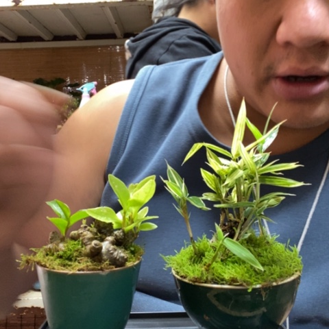 红陶一物一拍所见即所得187