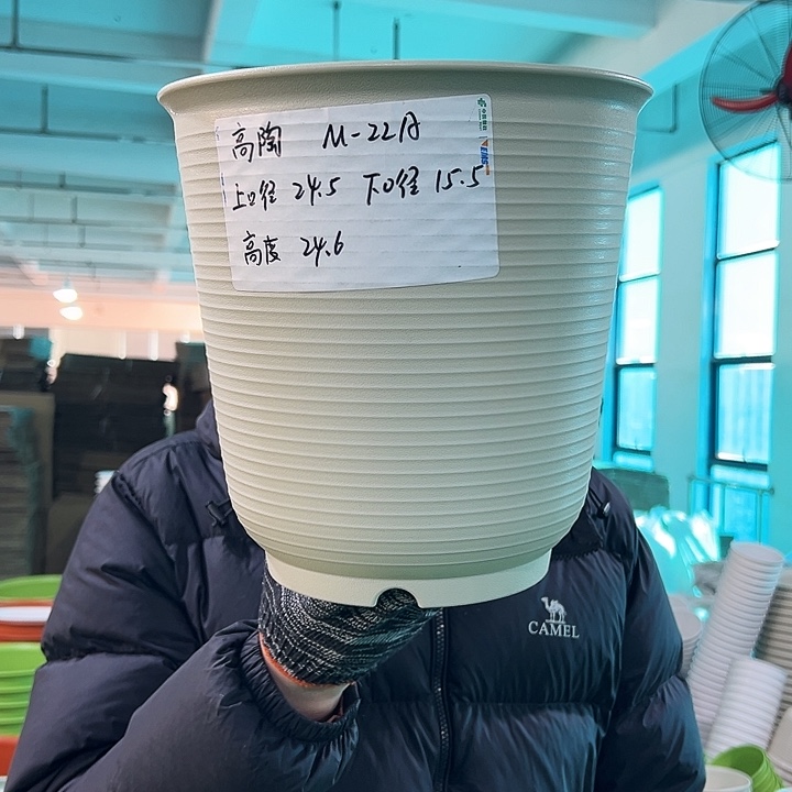 正品高陶口24.5高24.6米色无托5只