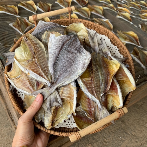 台山上川岛泥猛鱼干 海鱼 500克淡干货