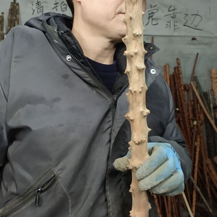 稳定木用****春贵州檬子木   铁马鞭   根艺  半成品