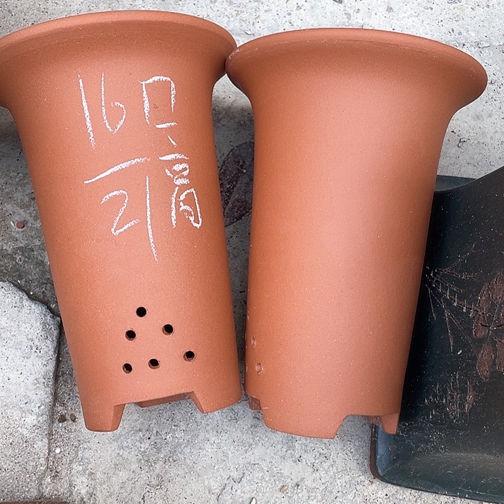 红陶紫砂紫砂紫砂