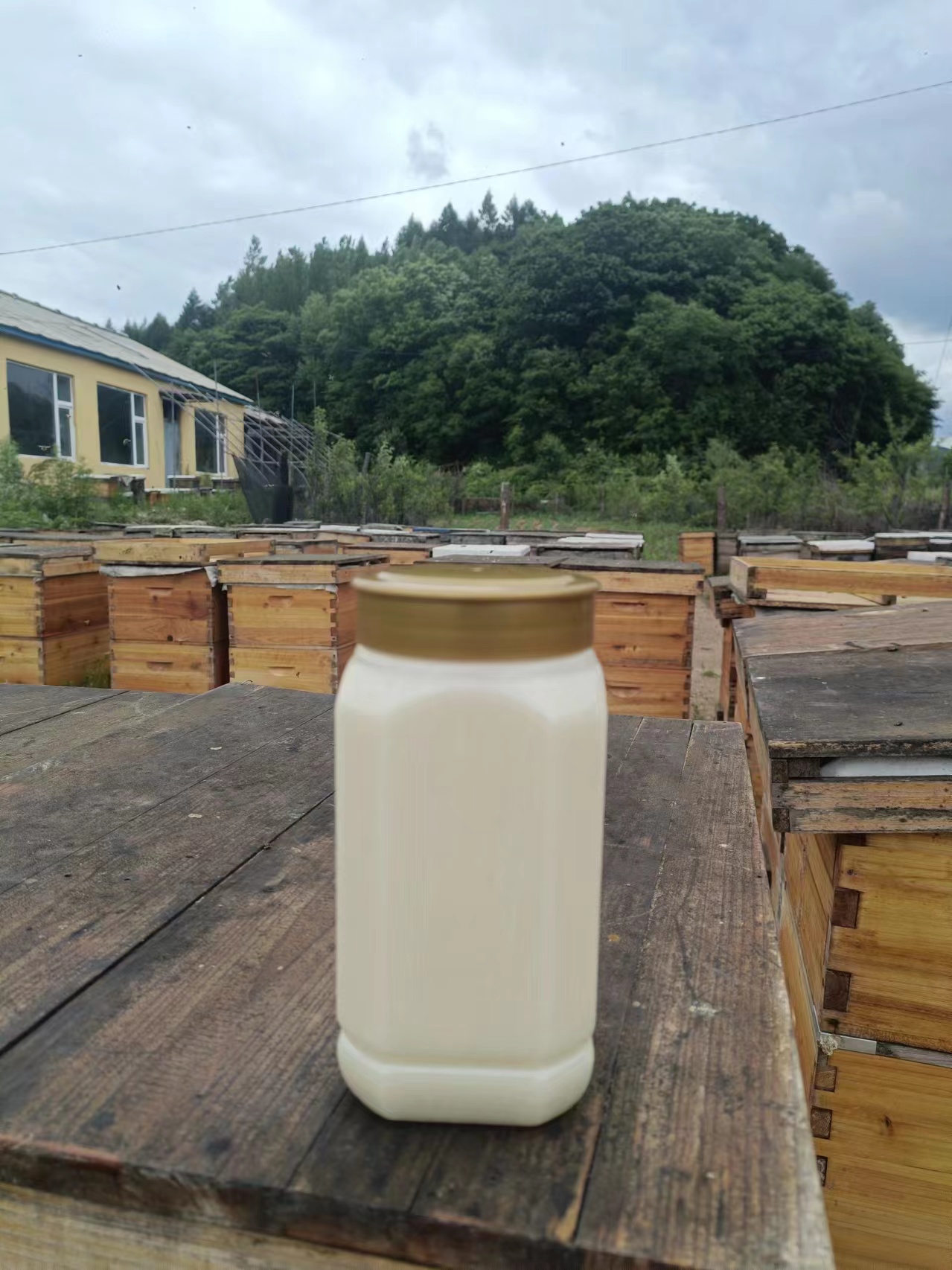 椴树雪蜜纯正天然原生态自然成熟农家自产长白山蜂蜜退货运费险