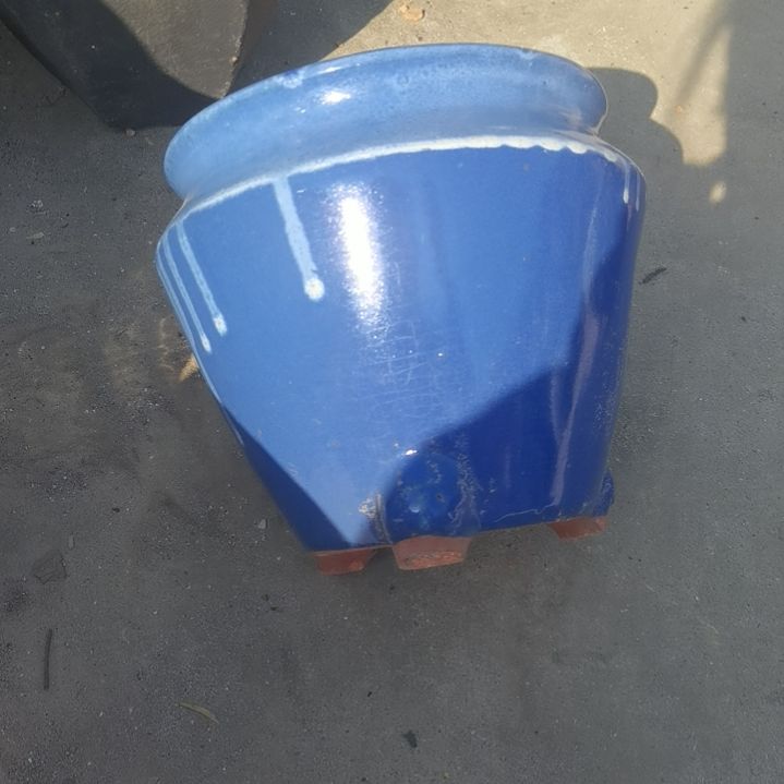 红陶20/20瑕疵一个