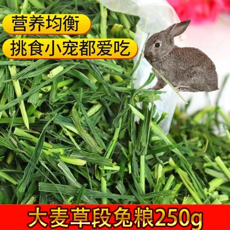2025年新大麦草段250g宠物兔爱吃