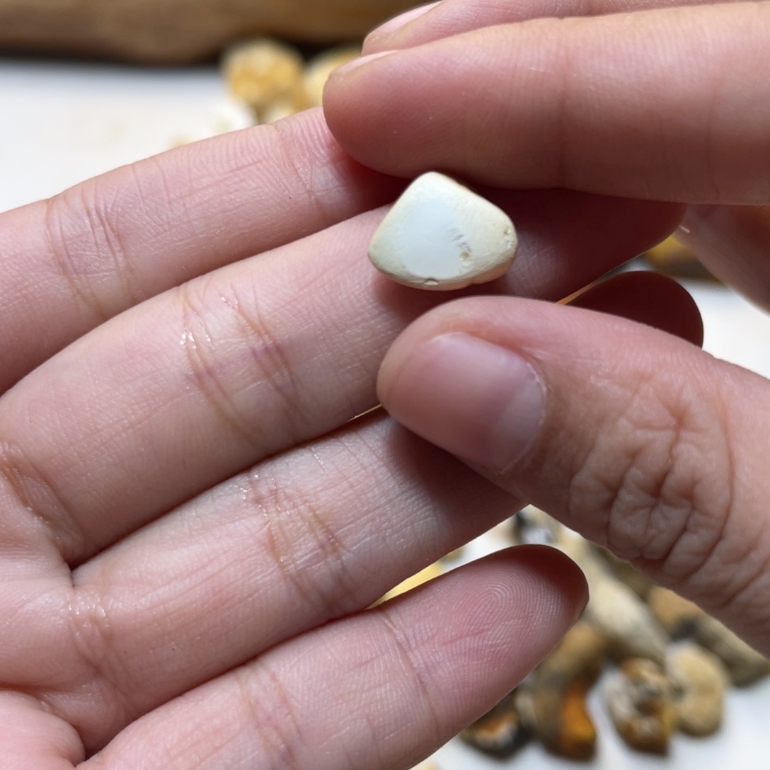 定制琥珀天然原矿