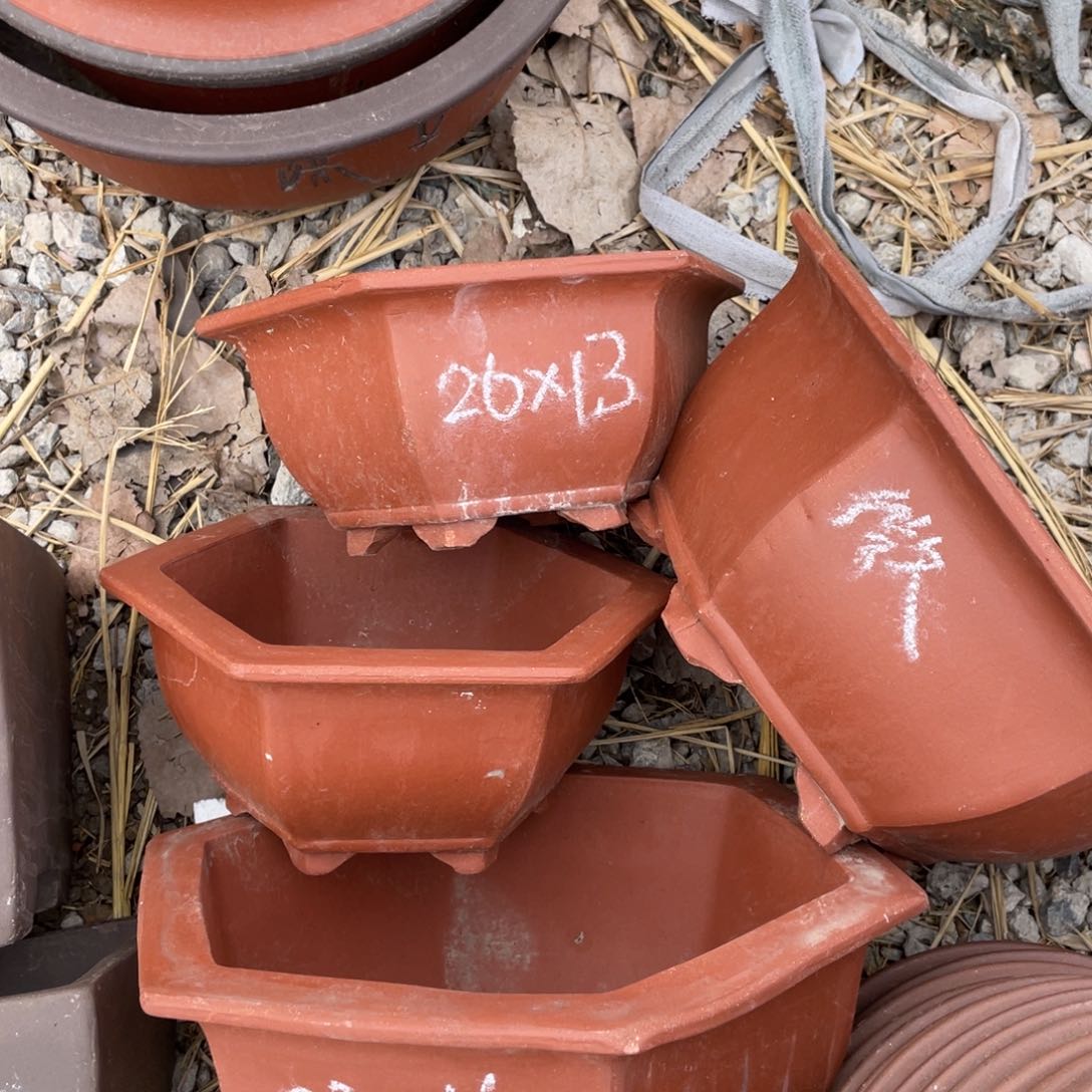 紫砂情*哥26*13 十只 六角