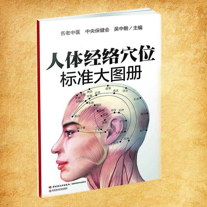 人体经络穴位标准大图册人体经络穴位标准大图册人体穴位图解大全