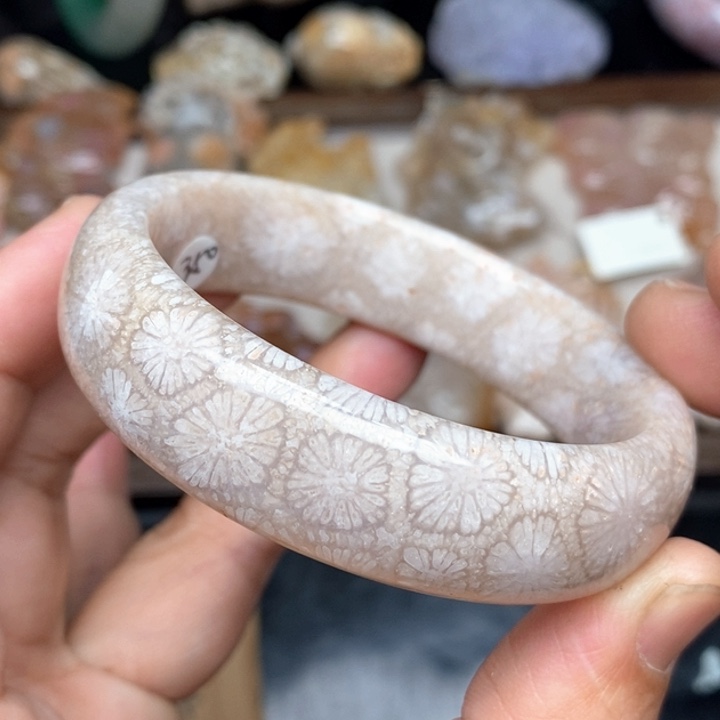 硅化珊瑚（珊瑚玉）手镯未镶嵌53:8