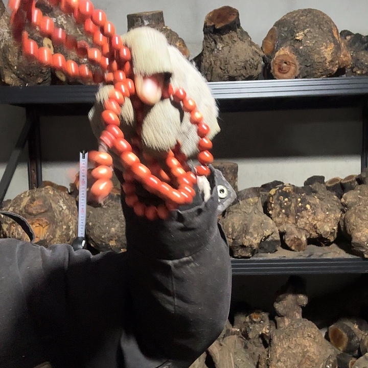 因***以香榧木火琉璃的故事是一个人