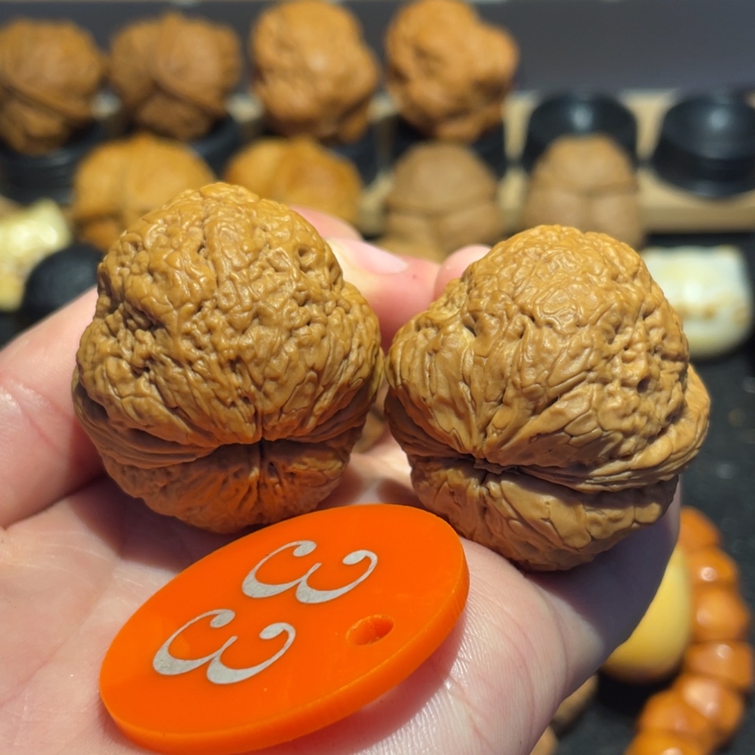 粗筋霸王蟾核桃36