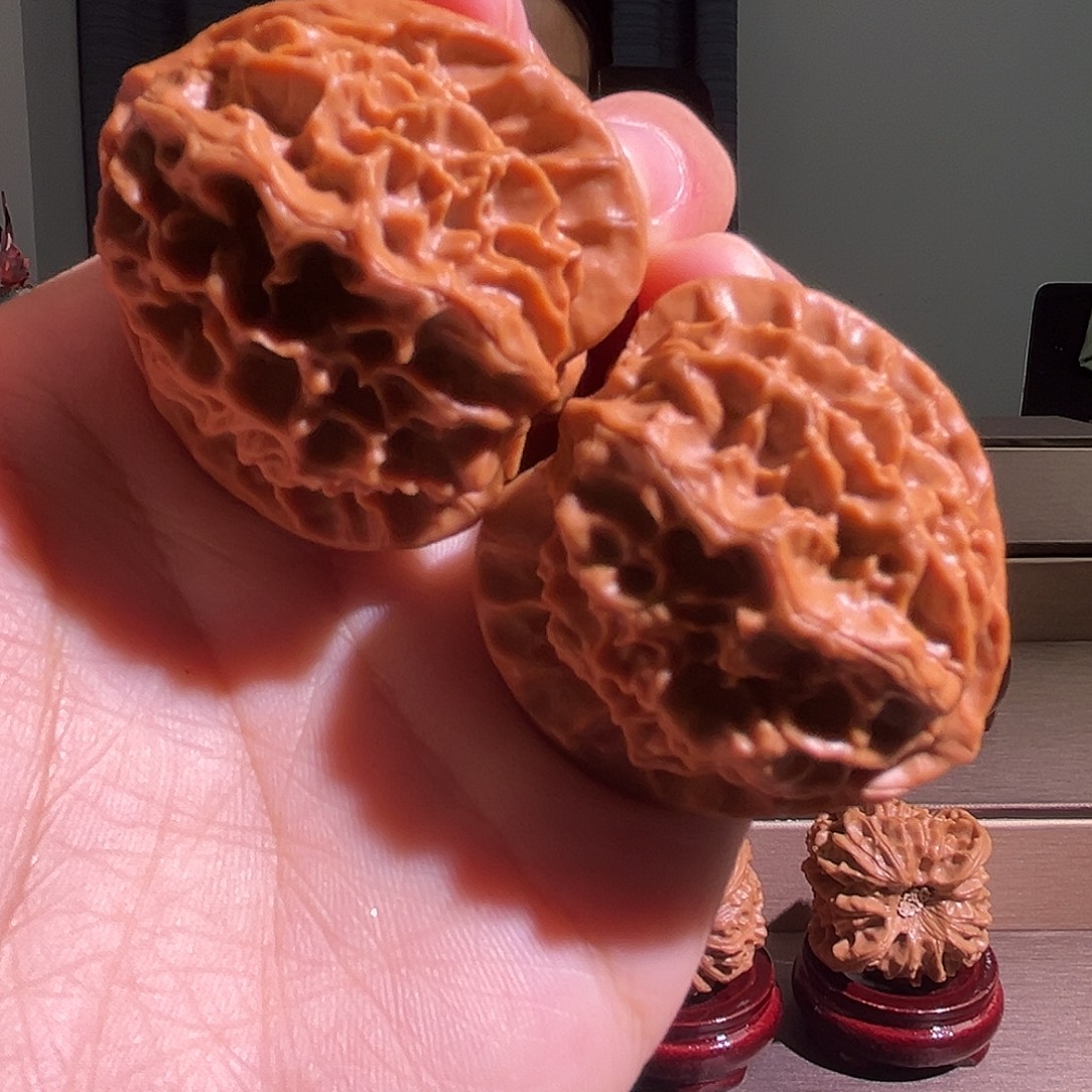 核桃40龙鳞全品无休