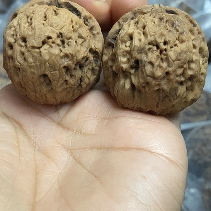 文玩核桃把件云南铁核桃基地36