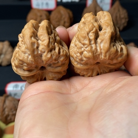 文玩核桃三角蛙尺38